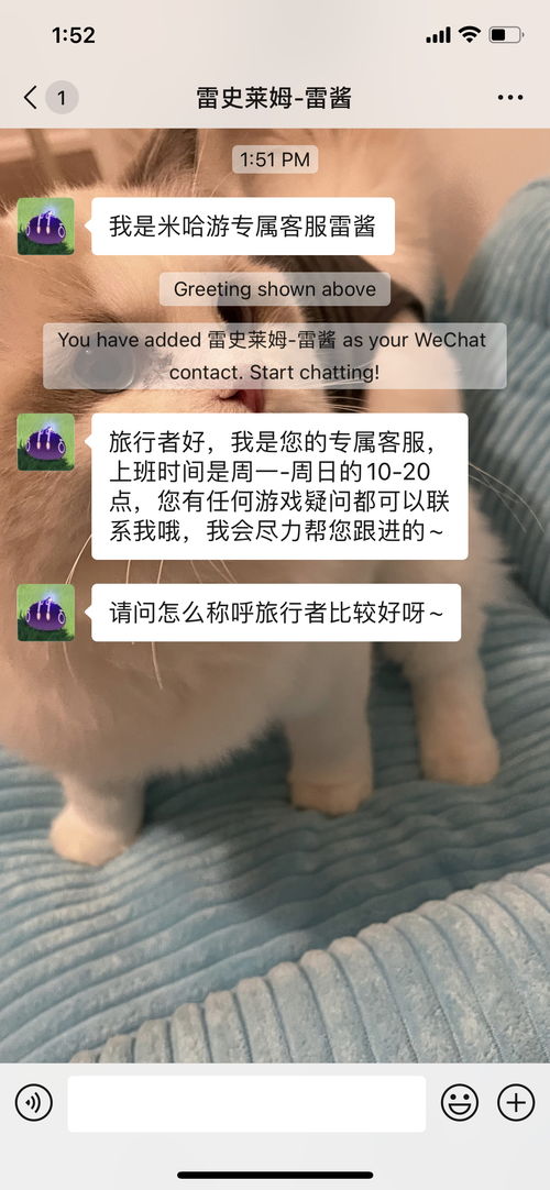 【震惊】原神惊现“私人客服”？真相竟与‘私行出国’中介服务不意而合！