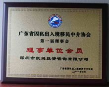 凯鸿集团 引领因私出入境中介服务的专业力量