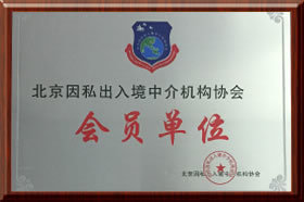 企业荣誉 因私出入境中介服务的卓越成就